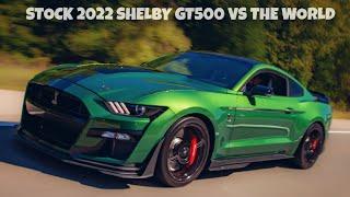 MY BONE STOCK 2022 SHELBY GT500 VS The WORLD| How Good Is A Stock GT500!??