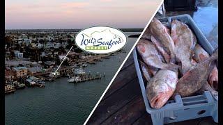 Wild Seafood Market | Madeira Beach, Florida's Best Fresh Fish