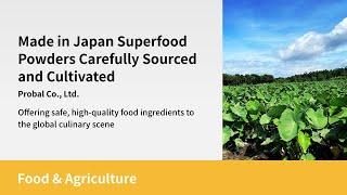 Made in Japan Superfood Powders Carefully Sourced and Cultivated | Probal Co., Ltd.