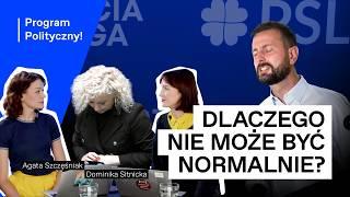 O co chodzi PSL-owi? Związki partnerskie i strategie partyjne