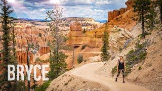 Bryce Canyon National Park Re-Opens! | Hiking and Boondocking Bryce