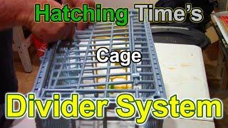 Hatching Time's New Removable Divider System - Quail Cage Dividers