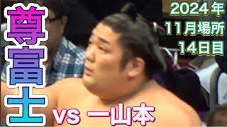 尊富士 vs 一山本【大相撲令和6年11月場所】14日目 2024/11/23 九州場所［臨場感ズーム］[NOV 2024 DAY14] TAKERUFUJI vs ICHIYAMAMOTO