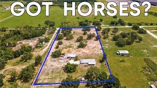 Equestrian Property in Myakka City: The Real Florida