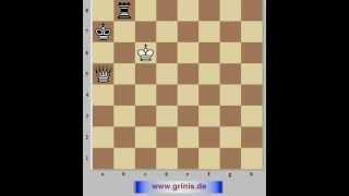 Endspiel Dame gegen Turm 1. Eugen Grinis. Schach