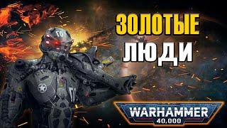 Кем были Золотые и Каменные люди из Тёмной Эры Технологий? | Warhammer 40k