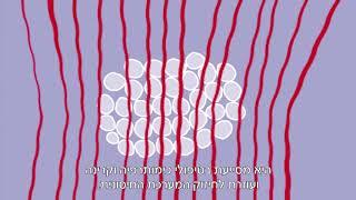 ד"ר יוסף דיין  על היפרתרמיה - טיפול תומך בחולי סרטן, טיפול בעזרת חום גבוה הגורמת להרס תאים ממאירים