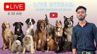 Vloger Miraj is live! Pet market kolkata Live