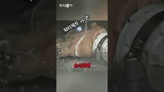 워터제트에 손을 넣으면 어떻게 될까?