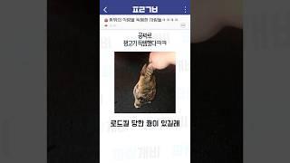 뜻밖의 식량을 득템한 사람들ㅋㅋㅋㅋ