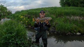 Wisconsin Trout Fishing - 5/28/2023, 4th big of the year!