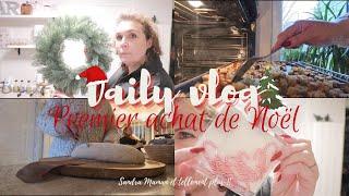 Vlog du 25 et 26 novembre : Premier achat de Noël !!!