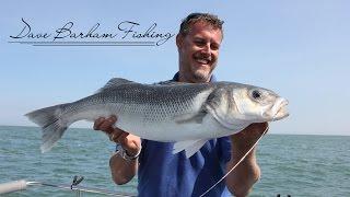 Dave Barham Fishing Teaser