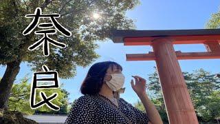 日本旅遊 VLOG |奈良 鹿 春日大社