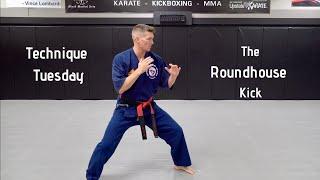 Technique Tuesday - How To: The Roundhouse Kick