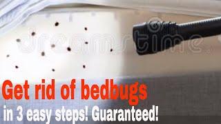 HOW TO GET RID OF BEDBUGS IN 3 Easy Steps in #2022!