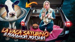 LA VACA SATURNO В РЕАЛЬНОЙ ЖИЗНИ | 24 ЧАСА В МАШИНЕ НА ОЗЕРЕ С КОТОМ И СОБАКОЙ