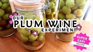 EASY RECIPE!  Make your own Plum Wine  Umeshu  Maesil Ju  梅酒  FOODIE FRIDAY 