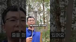 사다리 없이 안전하게! 고소 나무 로프 걸이 신축 봉로 로프 설치 끝