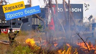 Kharkiv - A blow to the rescuers...No more forest at Zhuravlevka