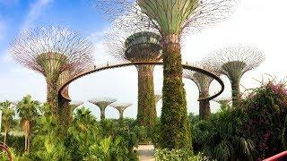 Dżungla W Centrum Miasta - Gardens By The Bay, Singapur