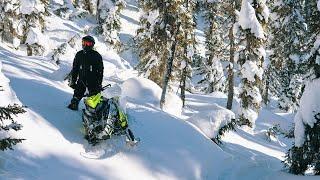 SNOWMOBILE TREE-RIDING, POWDER AND BLUE SKY IN MONTS-GROULX, CANADA - TRENCHERS