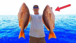 Snapper Fishing 30 MILES Offshore! [How To Techniques]