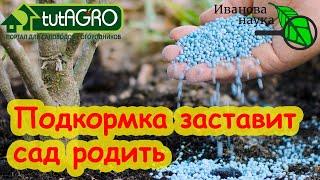 5 ОШИБОК ПРИ ПОДКОРМКЕ САДА. Как подкормить сад, чтобы он ежегодно давал урожай.