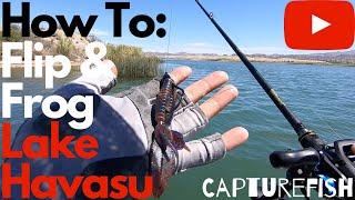 How to Flip & Frog Lake Havasu for Largemouth Bass