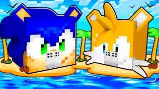 Sonic vs Tails HOUSE in Minecraft!