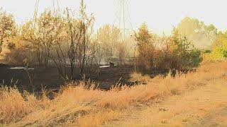 Fire extinguished near American River Parkway