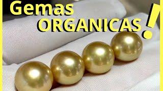 PIEDRAS PRECIOSAS que NO son PIEDRAS | GEMAS ORGANICAS Perlas Marfil Coral Ambar Azabache