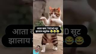 Comedy #video #funny cat  Dheere Dheere | Devara Second Single