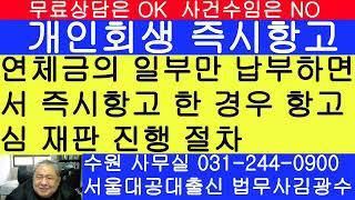 연체금의 일부만 납부하고 개인회생 즉시항고 한 경우 진행 절차