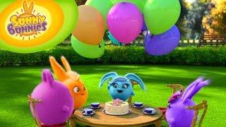 Cartoons for Children | Sunny Bunnies 110 - Birthday (HD - Full Episode)