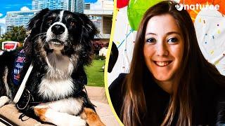 Living With A Service Dog | Meet Katie And Bailey