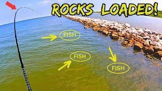 FLOUNDER FISHING **ROCK JETTYS** Flounder (Fluke) Everywhere!