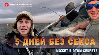 5 дней без секса! А может в этом секрет?