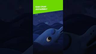 Как спит дельфин?  Пластилинки #союзмультфильм #мультик