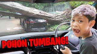 BENCANA ANGIN TOPAN!!! MOBIL BOCIL TERTIMPA POHON TUMBANG RAKSASA!!!