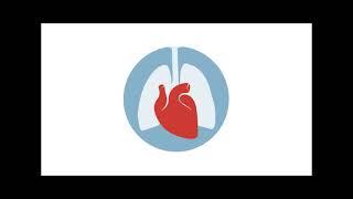 Mitral Valve Chordal Repair of the P1 Leaflet With Upper Mini Sternotomy