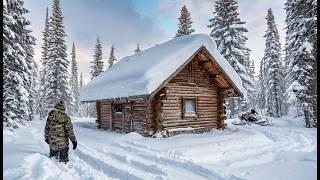 I'm Living OFFGRID in a Snowy Forest Wonderland