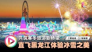 共筑寒冬旅游新桥梁 直飞黑龙江体验冰雪之美