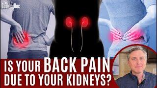 Is Your Back Pain Due to Your Kidneys?  | The Cooking Doc®