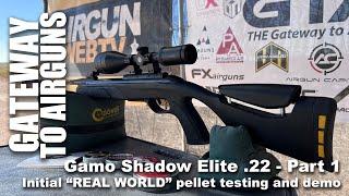 Break Barrel Beginnings with the Gamo Shadow Elite .22 - Gateway to Airguns Airgun Testing