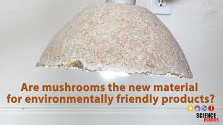 Turning Mushroom Roots Into Everyday Objects - Cool Science Project!