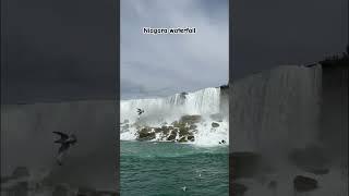 #water  #like  #trending  #tiktok  #trend  #trending  #trendingshorts  #лайки  #humor  #india
