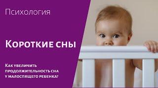 Сон по 30 минут.  Как увеличить продолжительность сна у малоспящего ребенка?