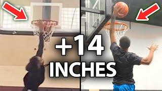 How He Gained 14 Inches on His Vertical Jump