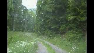 Trip to Eagle Creek in Rockcastle County, Kentucky / SDV_0037.MP4